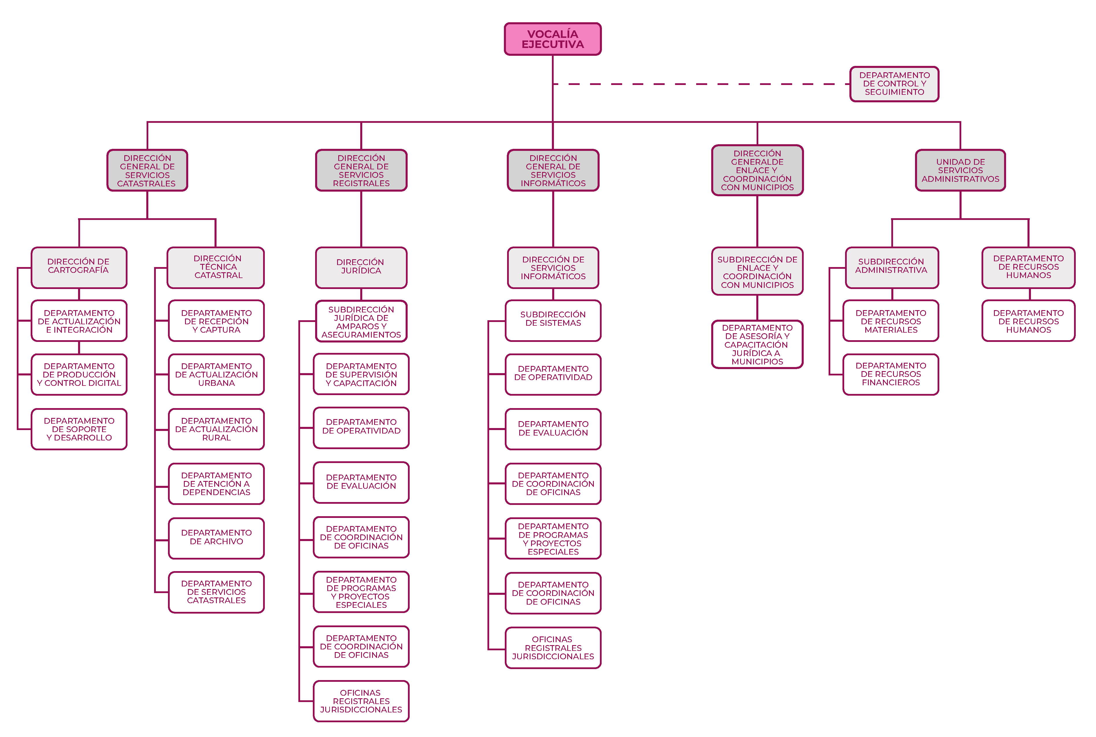 Estructura Órganica